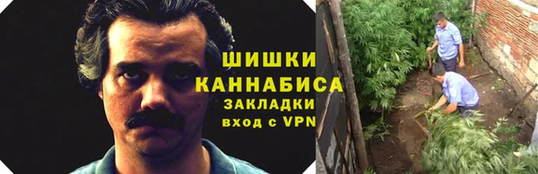 ALPHA PVP Иннополис