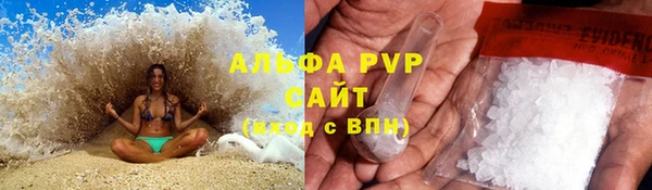 ALPHA PVP Иннополис