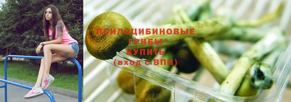 таблы Инта