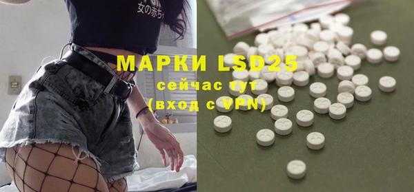 spice Инсар