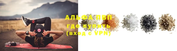ALPHA PVP Иннополис