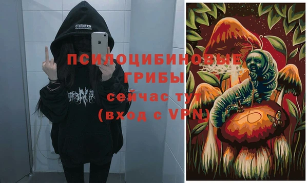 таблы Инта