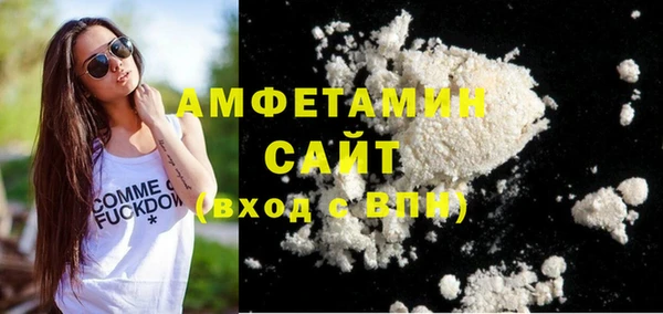 apvp Каменка