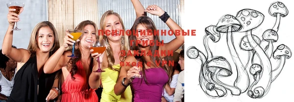 ALPHA PVP Иннополис