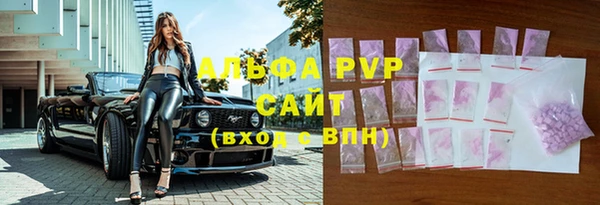 ALPHA PVP Иннополис